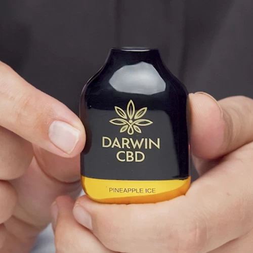 Darwin 500mg CBD+CBG Cube Disposable Vape